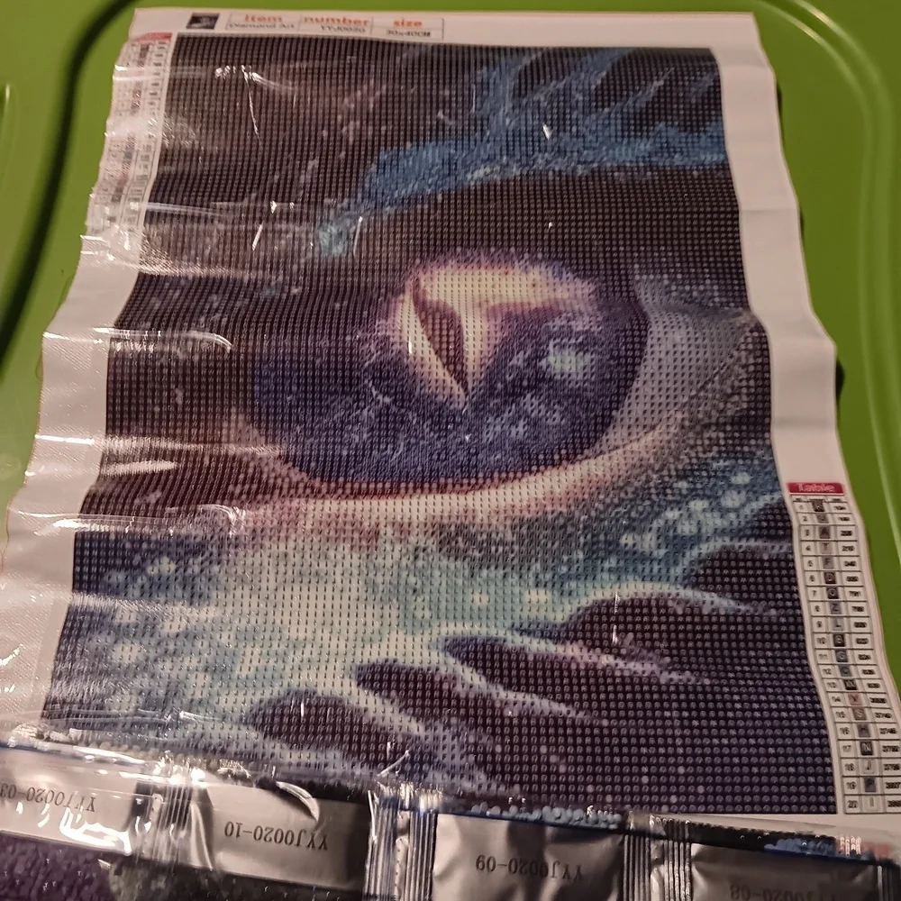 Mystical Dragon Eye Diamond Art Painting Kit 30x40